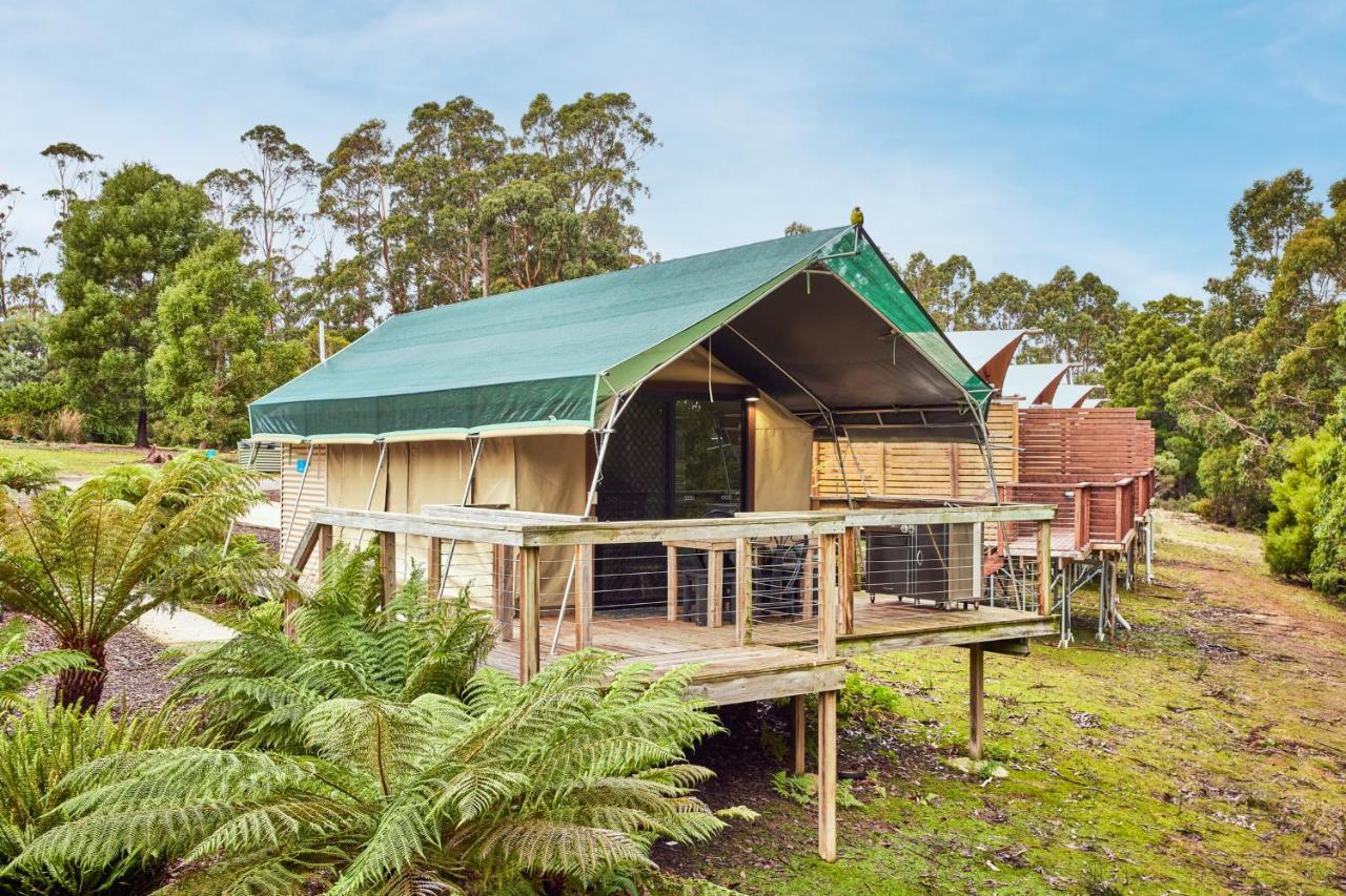Nrma Port Arthur Holiday Park Exterior photo